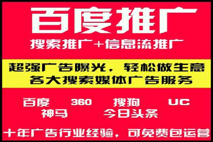 电商行业SEM运营的挑战与成功案例